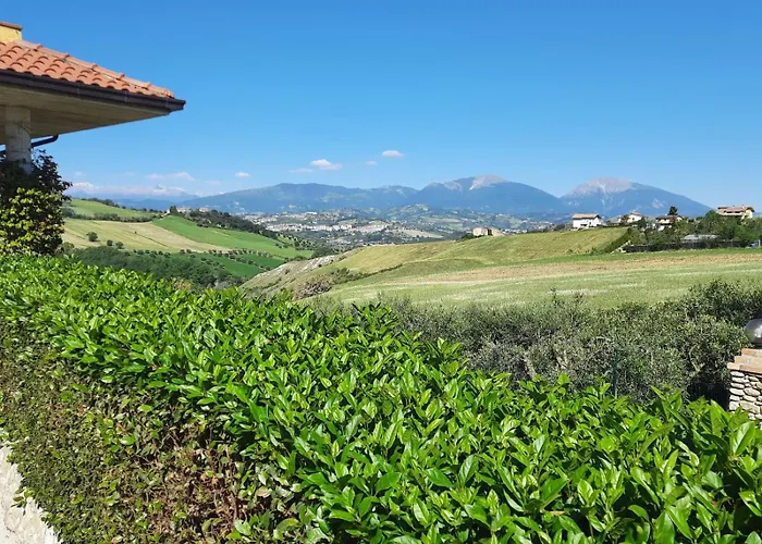 Casa Gialla - & Business